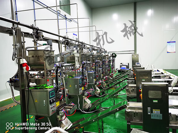 速食快餐醬料包裝機(jī)械穩(wěn)定性怎么樣(圖1)