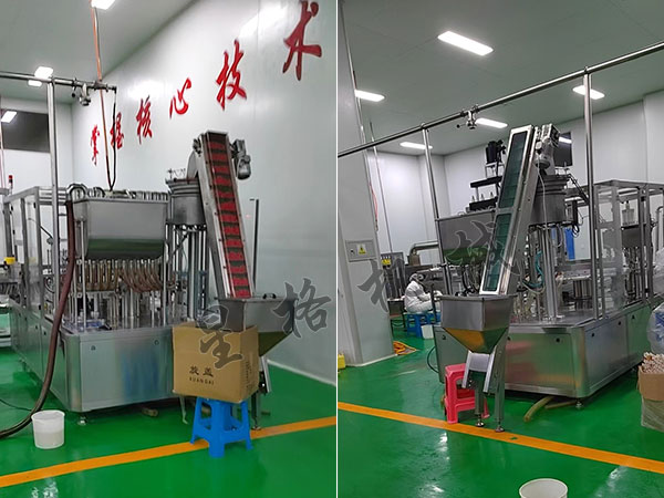 吸嘴式醬料包裝機(jī)可以包裝那種醬料(圖2)