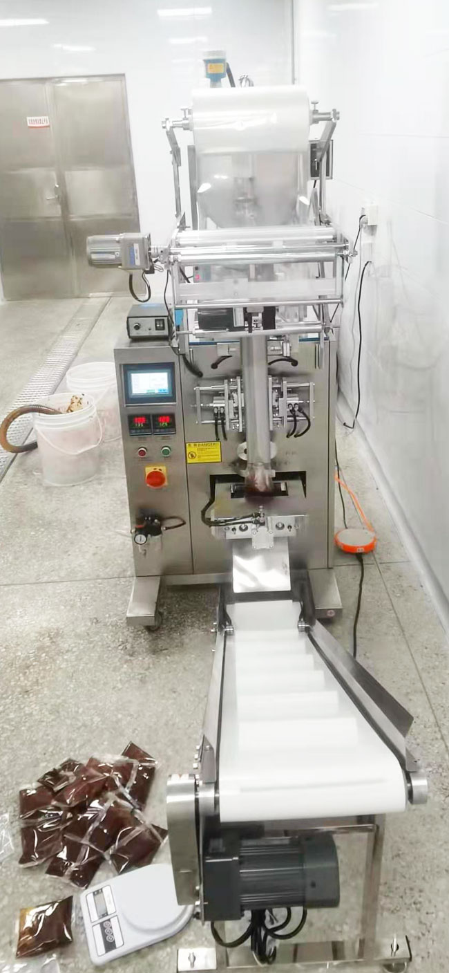 東莞大灣區食品廠(圖2)